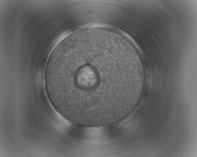 X0000082170810200702021725