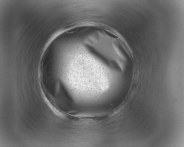 X0000082170811200702021725