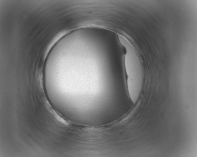 X0000082170812200702021725