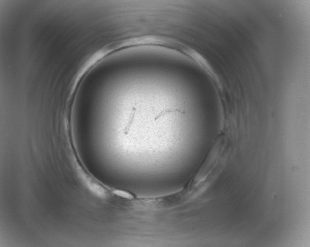 X0000082170813200702021725