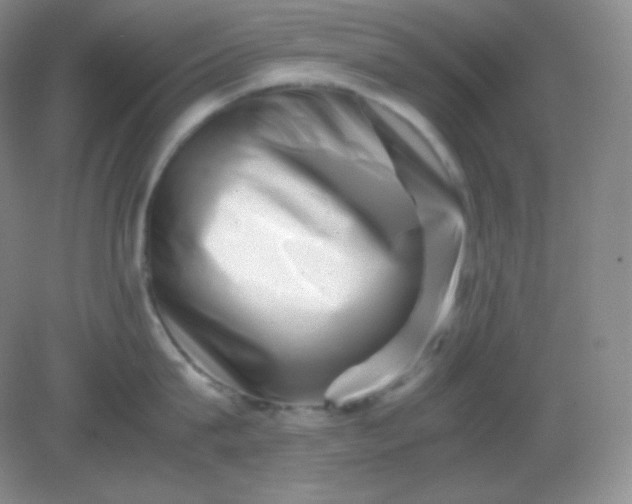 X0000082170815200702021725