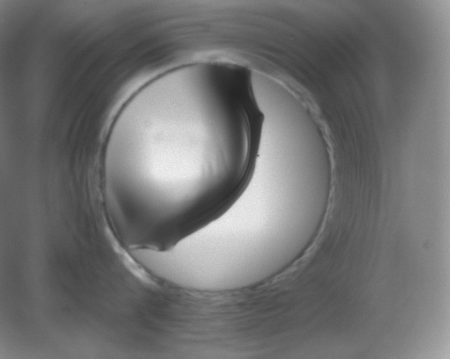 X0000082170816200702021725