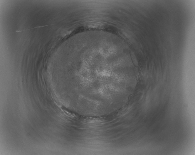 X0000082170817200702021724