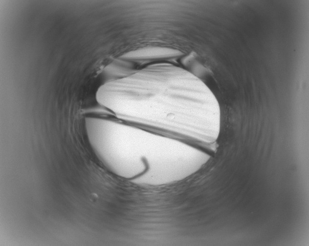 X0000082170818200702021724