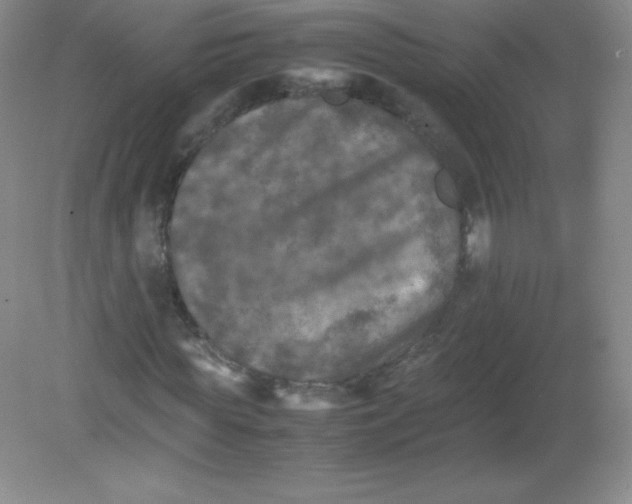 X0000082170819200702021724