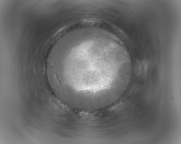 X0000082170821200702021724