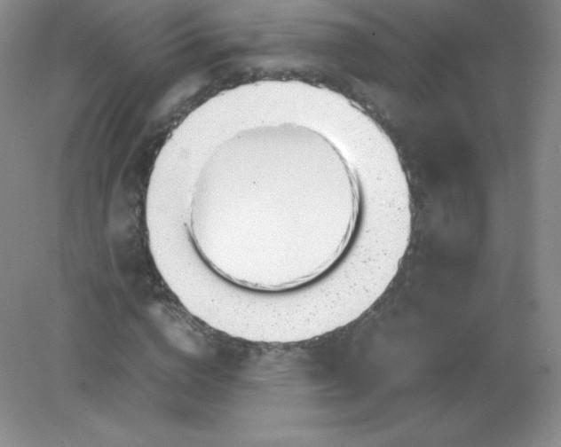 X0000082170824200702021724