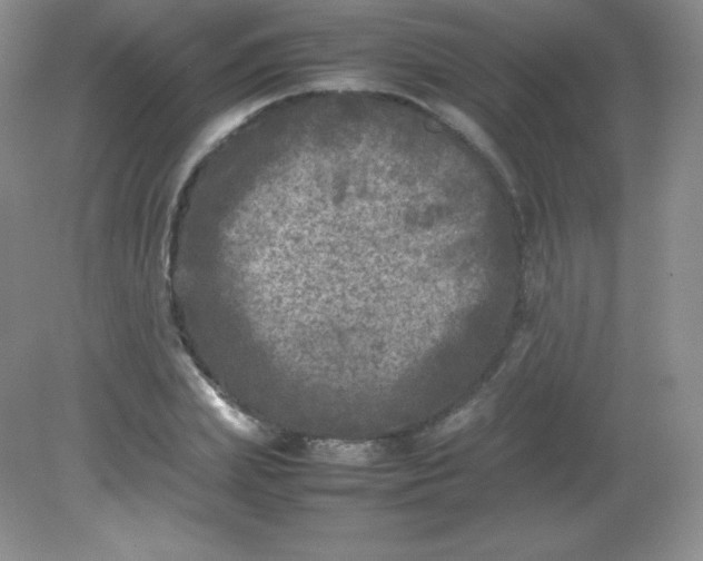 X0000082170831200702021724