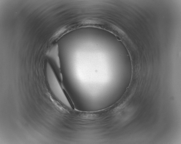 X0000082170833200702021724