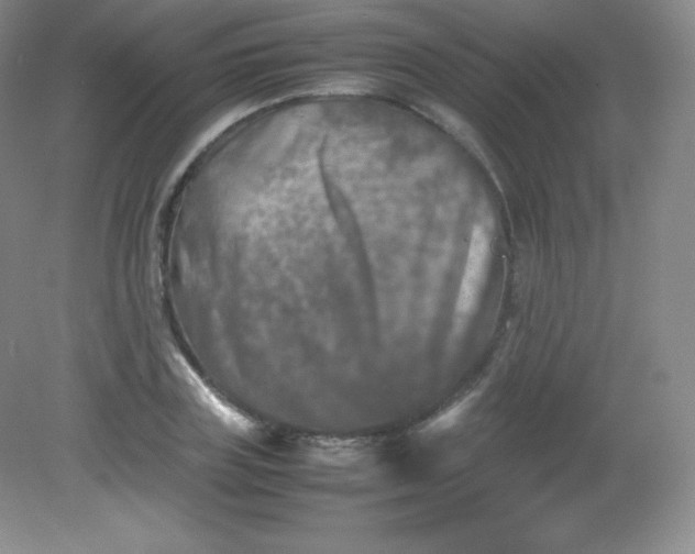 X0000082170835200702021724