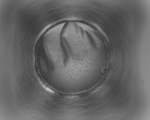 X0000082170837200702021724