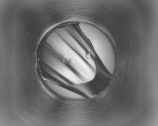 X0000082170838200702021724