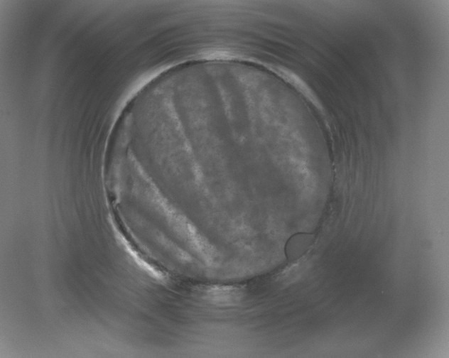 X0000082170839200702021724