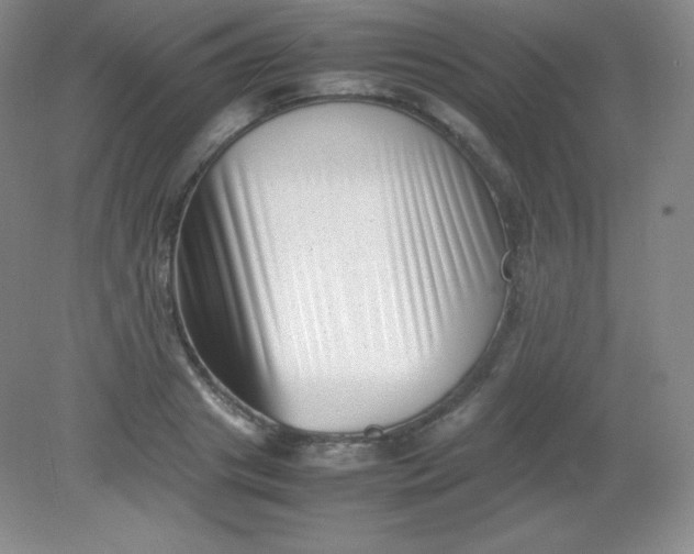 X0000082170841200702021724