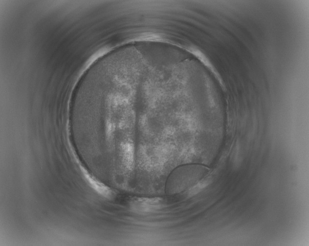 X0000082170845200702021724