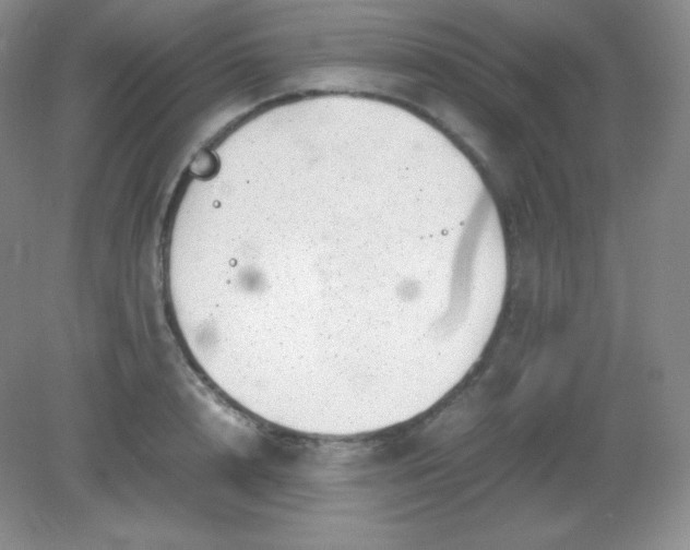 X0000082170848200702021725