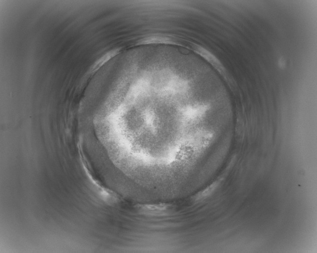 X0000082170849200702021725