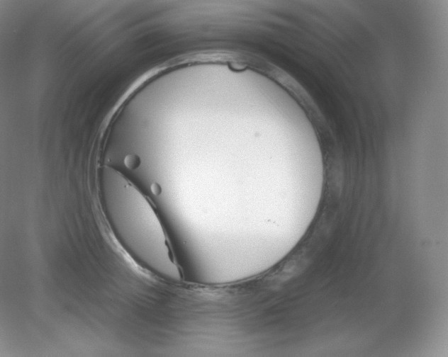 X0000082170852200702021725