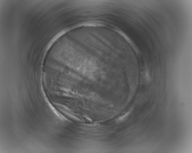 X0000082170853200702021725