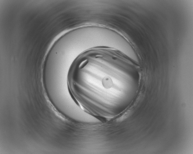 X0000082170854200702021725