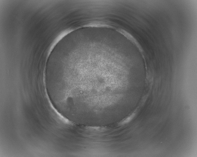 X0000082170855200702021725