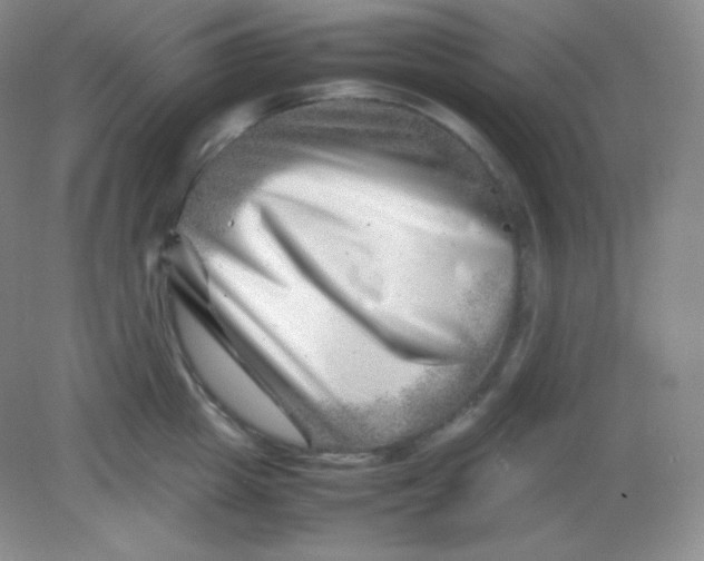 X0000082170857200702021725