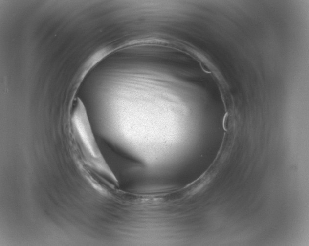 X0000082170858200702021725