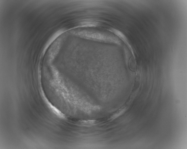 X0000082170859200702021725