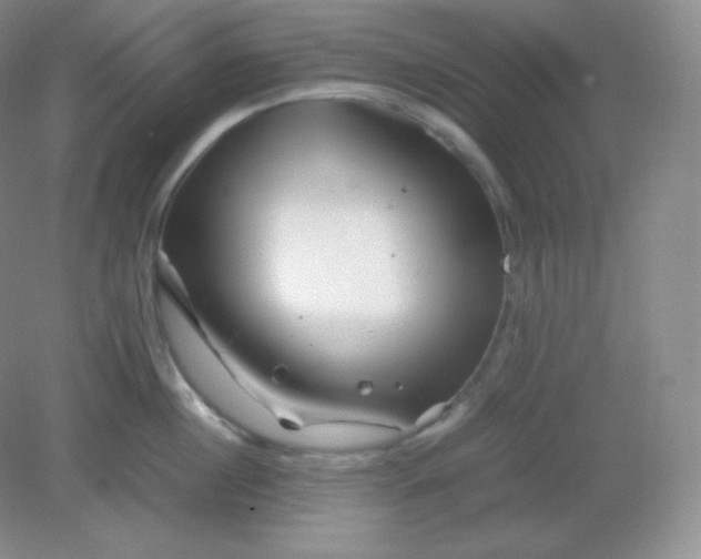 X0000082170860200702021725