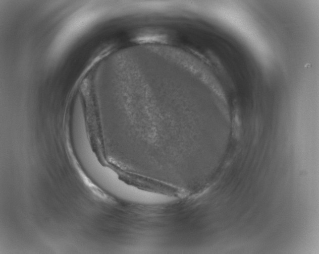 X0000082170861200702021725