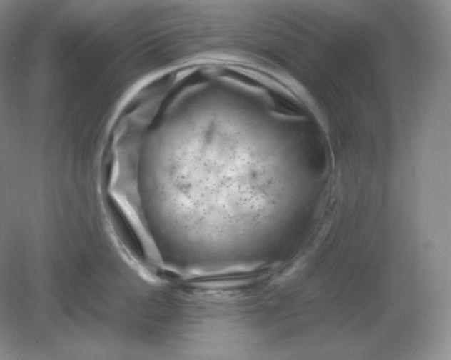 X0000082170862200702021725