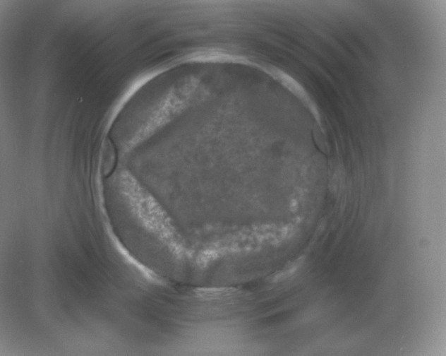 X0000082170863200702021725