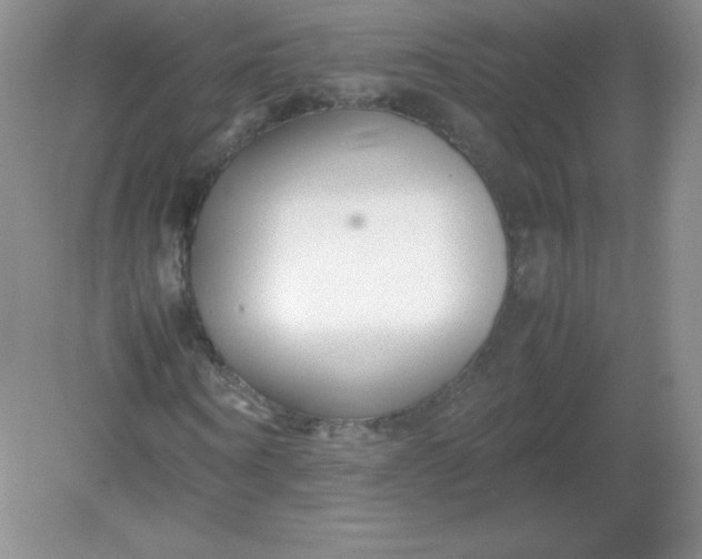 X0000082170866200702021724