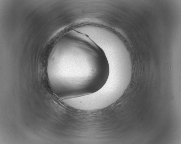 X0000082170872200702021724