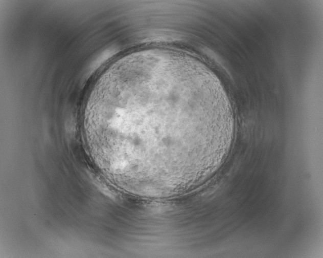 X0000082170874200702021724