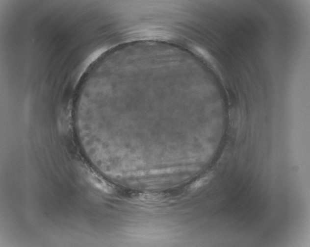 X0000082170875200702021724