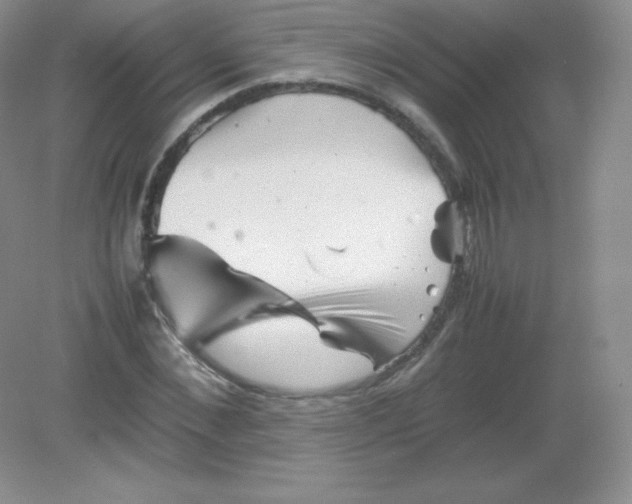 X0000082170876200702021724