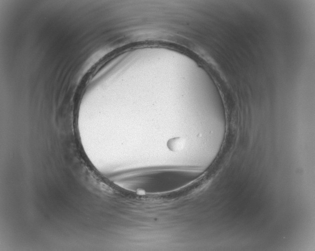 X0000082170877200702021724