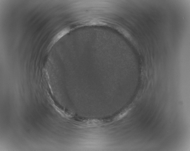 X0000082170881200702021724