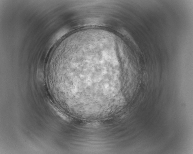 X0000082170882200702021724