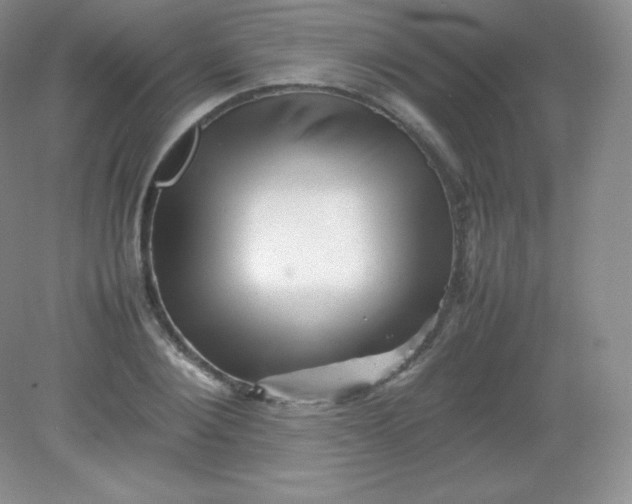 X0000082170884200702021724