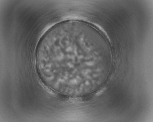 X0000082170887200702021724