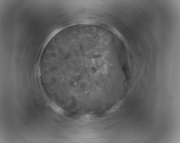 X0000082170891200702021724