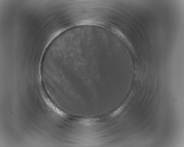 X0000082170892200702021724