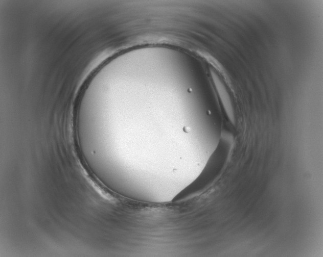 X0000082170894200702021723