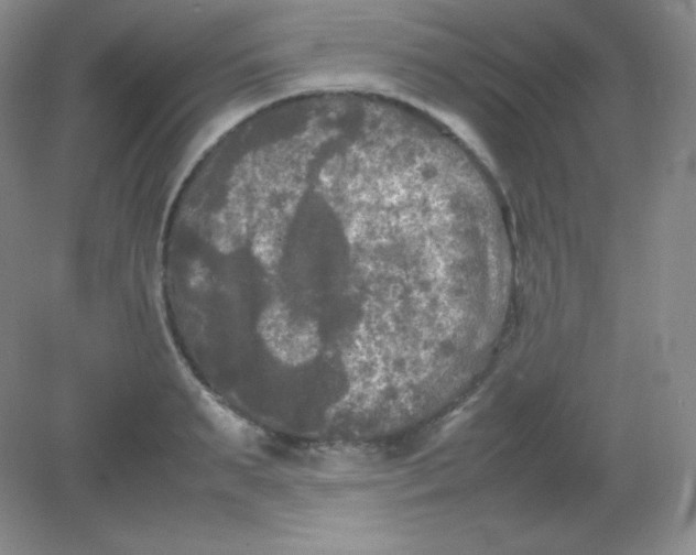 X0000082170895200702021723