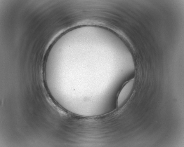 X0000082170896200702021723