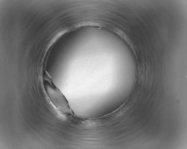 X0000082170898200702021723