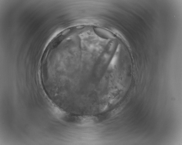 X0000082170899200702021723