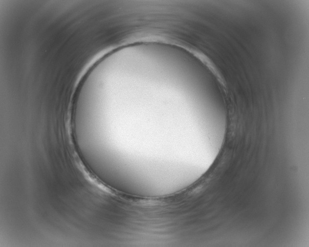 X0000082170904200702021723